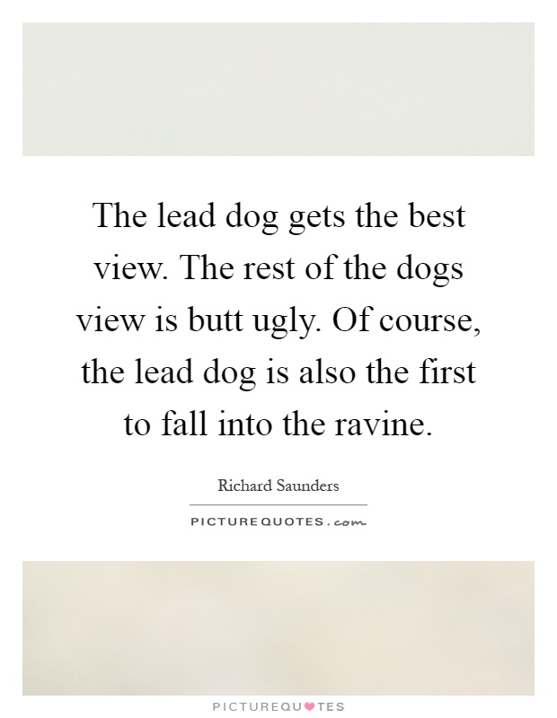 The lead dog gets the best view. The rest of the dogs view is butt ugly. Of course, the lead dog is also the first to fall into the ravine Picture Quote #1