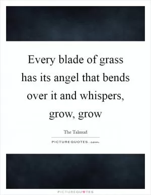 Every blade of grass has its angel that bends over it and whispers, grow, grow Picture Quote #1