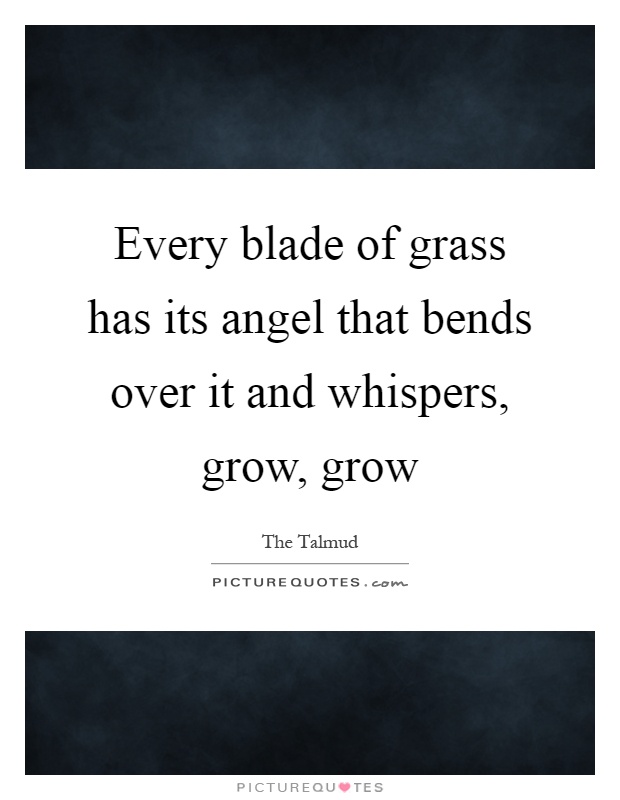 Every blade of grass has its angel that bends over it and whispers, grow, grow Picture Quote #1