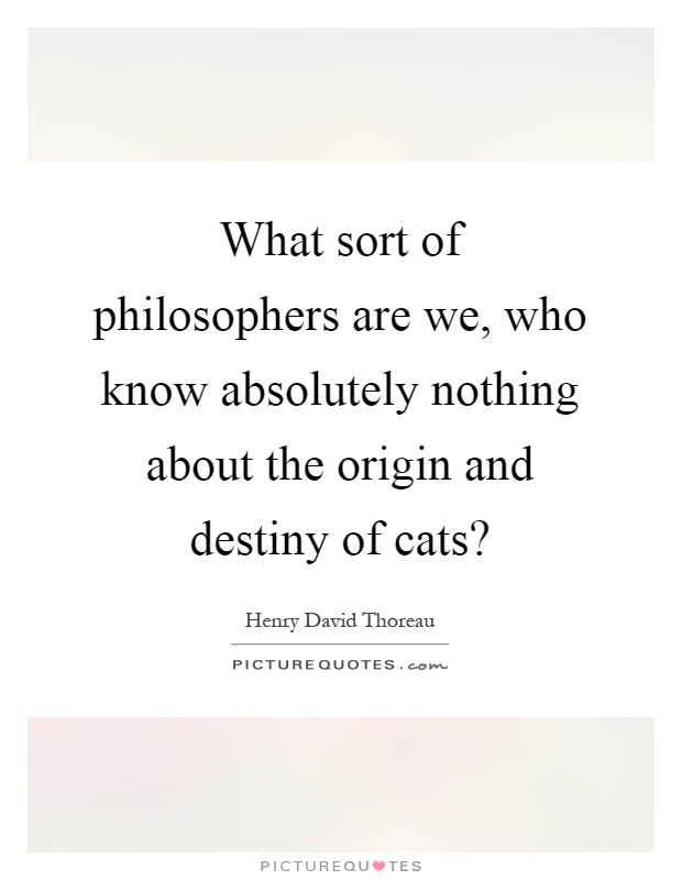 What sort of philosophers are we, who know absolutely nothing about the origin and destiny of cats? Picture Quote #1