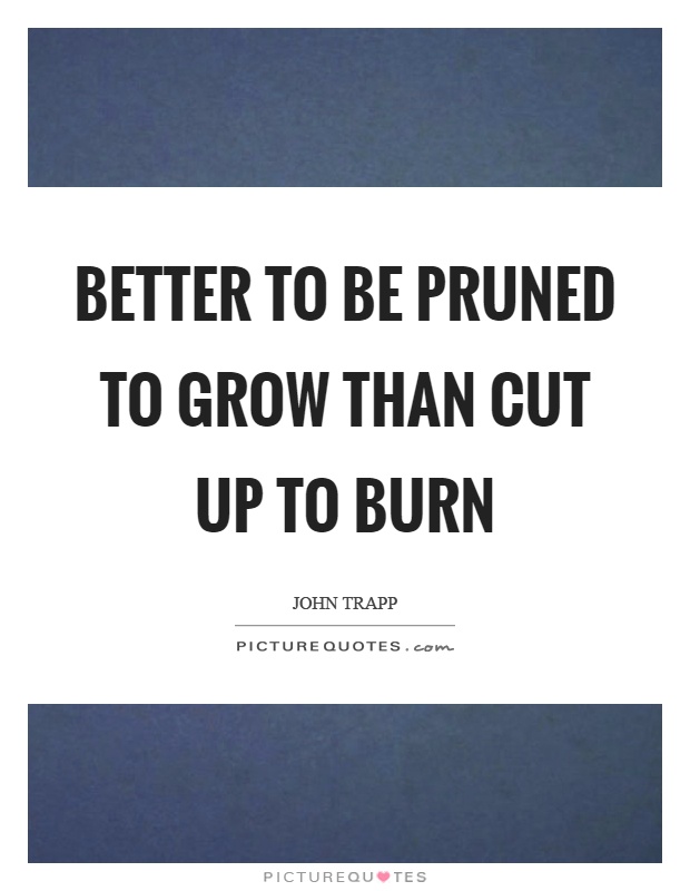 Better to be pruned to grow than cut up to burn Picture Quote #1