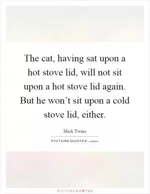 The cat, having sat upon a hot stove lid, will not sit upon a hot stove lid again. But he won’t sit upon a cold stove lid, either Picture Quote #1