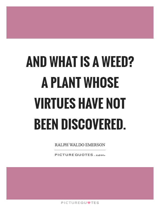 And what is a weed? A plant whose virtues have not been discovered Picture Quote #1