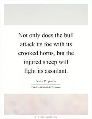 Not only does the bull attack its foe with its crooked horns, but the injured sheep will fight its assailant Picture Quote #1