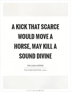 A kick that scarce would move a horse, may kill a sound divine Picture Quote #1