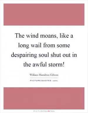 The wind moans, like a long wail from some despairing soul shut out in the awful storm! Picture Quote #1