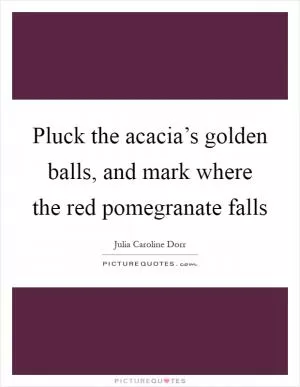 Pluck the acacia’s golden balls, and mark where the red pomegranate falls Picture Quote #1