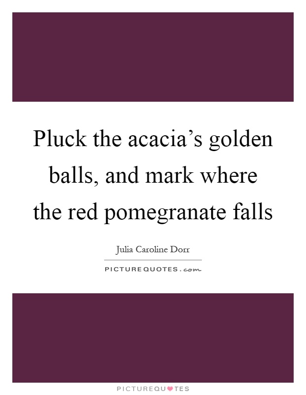 Pluck the acacia's golden balls, and mark where the red pomegranate falls Picture Quote #1