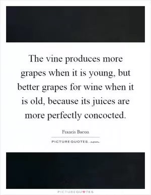 The vine produces more grapes when it is young, but better grapes for wine when it is old, because its juices are more perfectly concocted Picture Quote #1