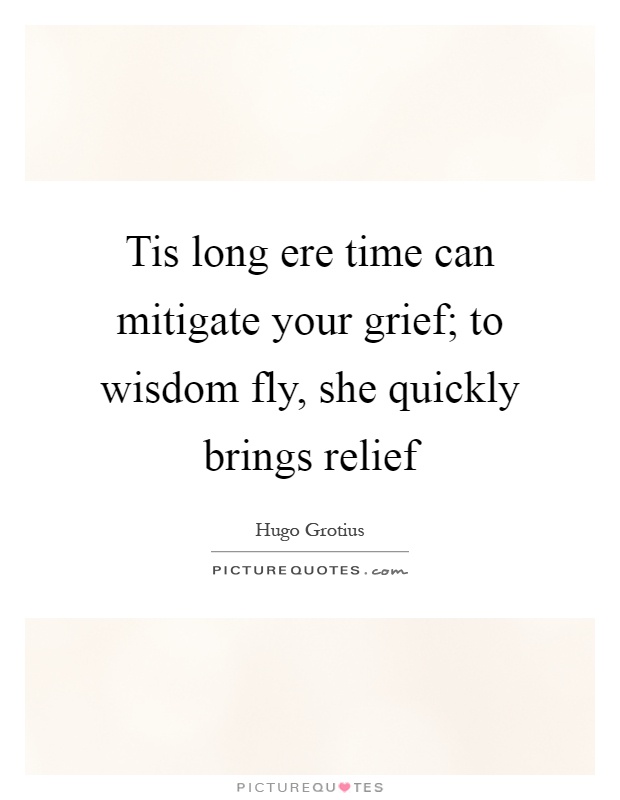 Tis long ere time can mitigate your grief; to wisdom fly, she quickly brings relief Picture Quote #1