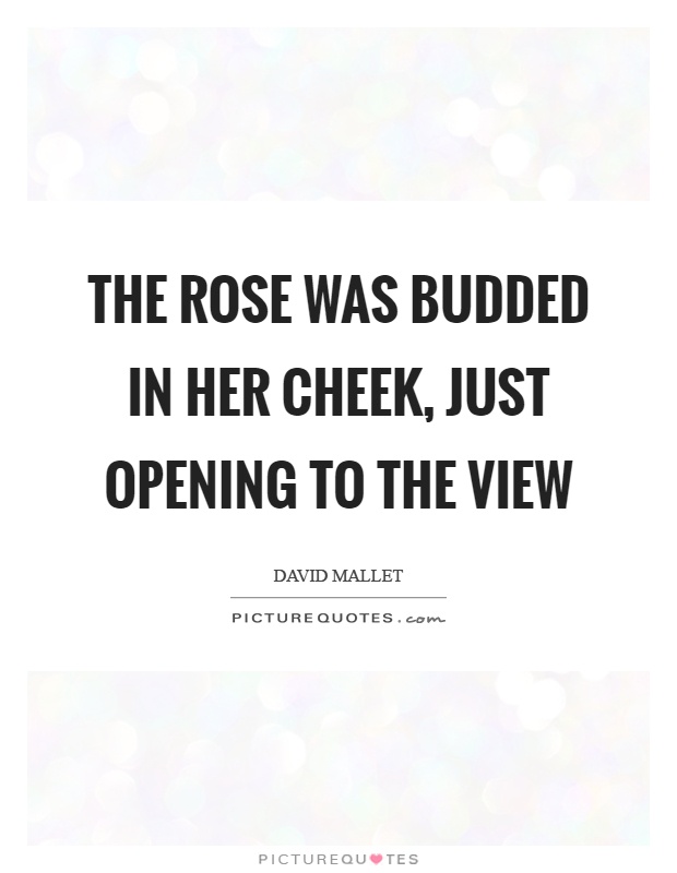 The rose was budded in her cheek, just opening to the view Picture Quote #1