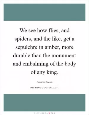 We see how flies, and spiders, and the like, get a sepulchre in amber, more durable than the monument and embalming of the body of any king Picture Quote #1