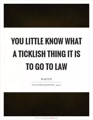You little know what a ticklish thing it is to go to law Picture Quote #1