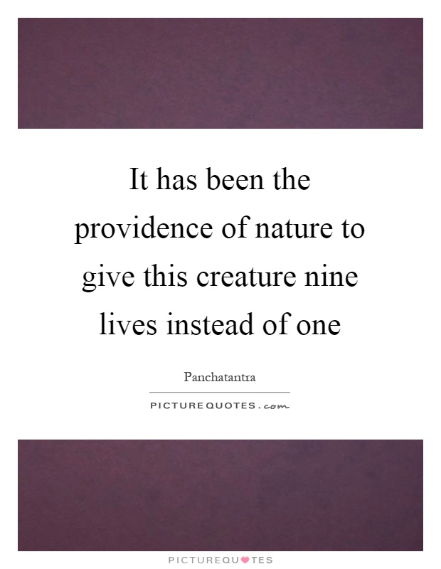 It has been the providence of nature to give this creature nine lives instead of one Picture Quote #1
