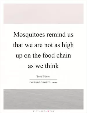 Mosquitoes remind us that we are not as high up on the food chain as we think Picture Quote #1