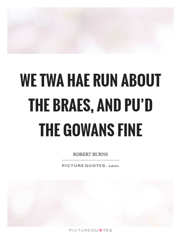 We twa hae run about the braes, and pu'd the gowans fine Picture Quote #1