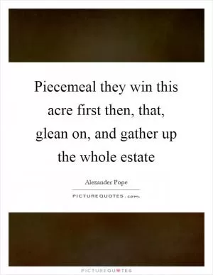 Piecemeal they win this acre first then, that, glean on, and gather up the whole estate Picture Quote #1