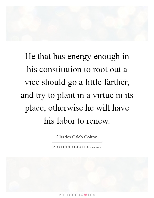 He that has energy enough in his constitution to root out a vice should go a little farther, and try to plant in a virtue in its place, otherwise he will have his labor to renew Picture Quote #1