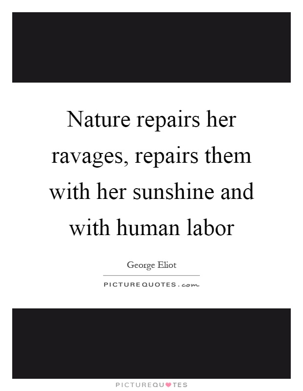 Nature repairs her ravages, repairs them with her sunshine and with human labor Picture Quote #1