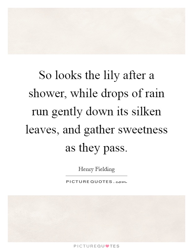 So looks the lily after a shower, while drops of rain run gently down its silken leaves, and gather sweetness as they pass Picture Quote #1