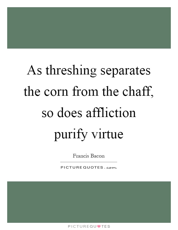 As threshing separates the corn from the chaff, so does affliction purify virtue Picture Quote #1
