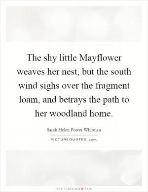 The shy little Mayflower weaves her nest, but the south wind sighs over the fragment loam, and betrays the path to her woodland home Picture Quote #1