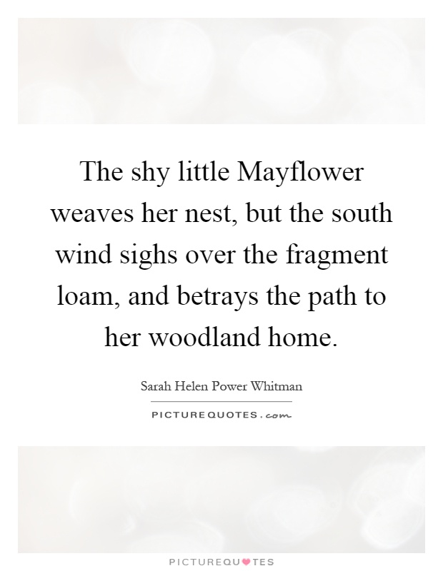 The shy little Mayflower weaves her nest, but the south wind sighs over the fragment loam, and betrays the path to her woodland home Picture Quote #1