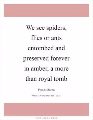 We see spiders, flies or ants entombed and preserved forever in amber, a more than royal tomb Picture Quote #1