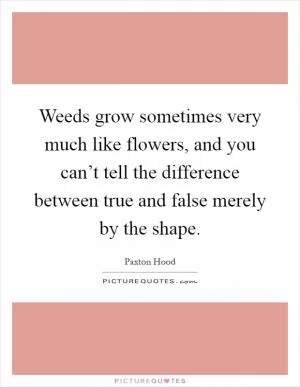Weeds grow sometimes very much like flowers, and you can’t tell the difference between true and false merely by the shape Picture Quote #1