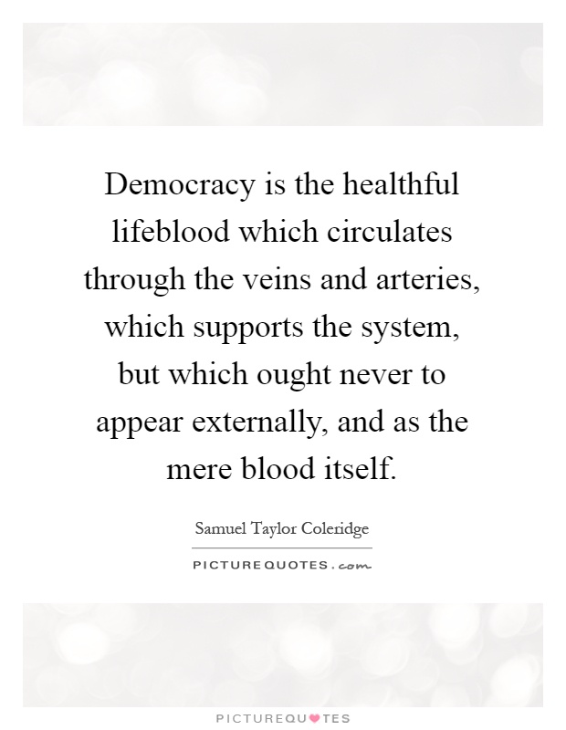 Democracy is the healthful lifeblood which circulates through the veins and arteries, which supports the system, but which ought never to appear externally, and as the mere blood itself Picture Quote #1