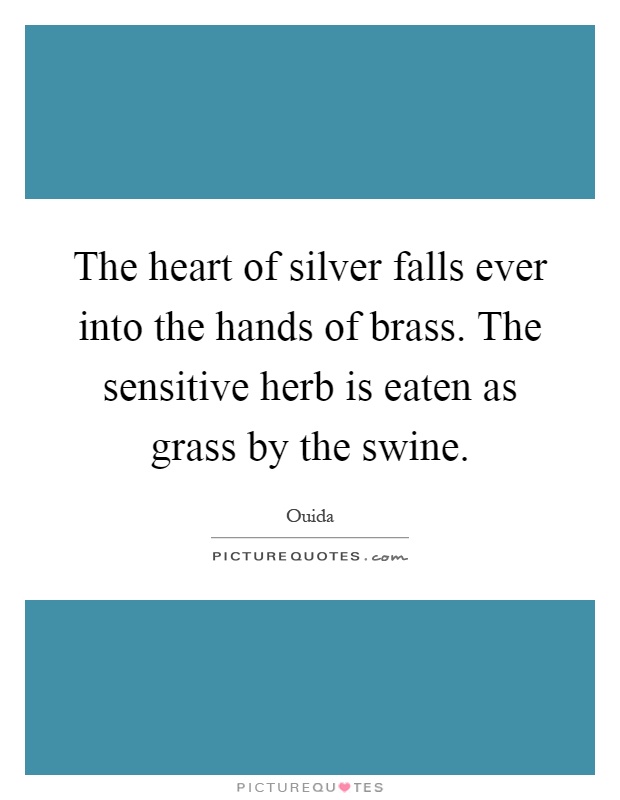 The heart of silver falls ever into the hands of brass. The sensitive herb is eaten as grass by the swine Picture Quote #1