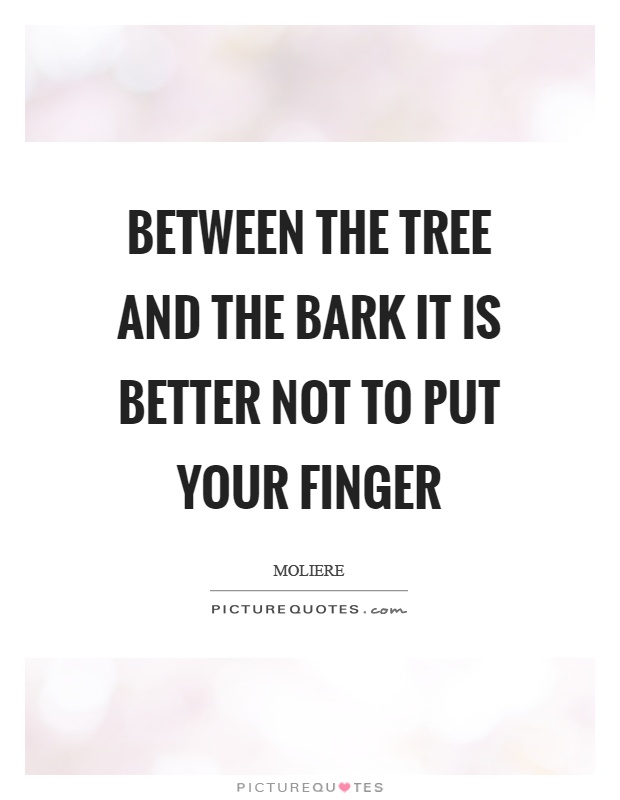 Between the tree and the bark it is better not to put your finger Picture Quote #1