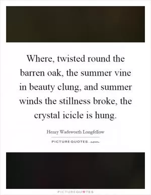 Where, twisted round the barren oak, the summer vine in beauty clung, and summer winds the stillness broke, the crystal icicle is hung Picture Quote #1