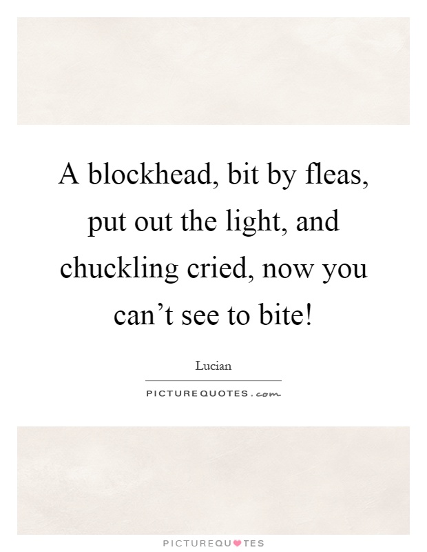 A blockhead, bit by fleas, put out the light, and chuckling cried, now you can't see to bite! Picture Quote #1