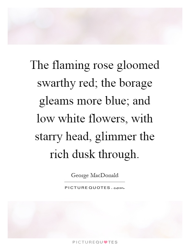 The flaming rose gloomed swarthy red; the borage gleams more blue; and low white flowers, with starry head, glimmer the rich dusk through Picture Quote #1