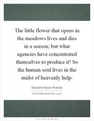 The little flower that opens in the meadows lives and dies in a season; but what agencies have concentrated themselves to produce it! So the human soul lives in the midst of heavenly help Picture Quote #1
