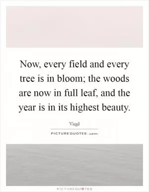 Now, every field and every tree is in bloom; the woods are now in full leaf, and the year is in its highest beauty Picture Quote #1