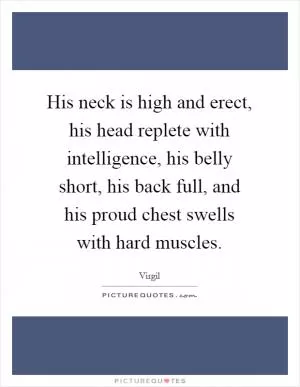 His neck is high and erect, his head replete with intelligence, his belly short, his back full, and his proud chest swells with hard muscles Picture Quote #1