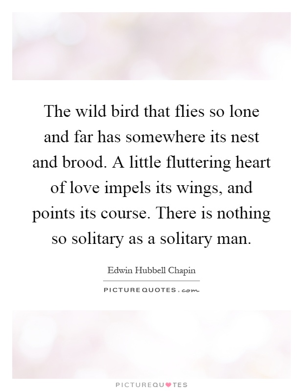 The wild bird that flies so lone and far has somewhere its nest and brood. A little fluttering heart of love impels its wings, and points its course. There is nothing so solitary as a solitary man Picture Quote #1