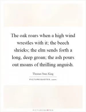 The oak roars when a high wind wrestles with it; the beech shrieks; the elm sends forth a long, deep groan; the ash pours out moans of thrilling anguish Picture Quote #1