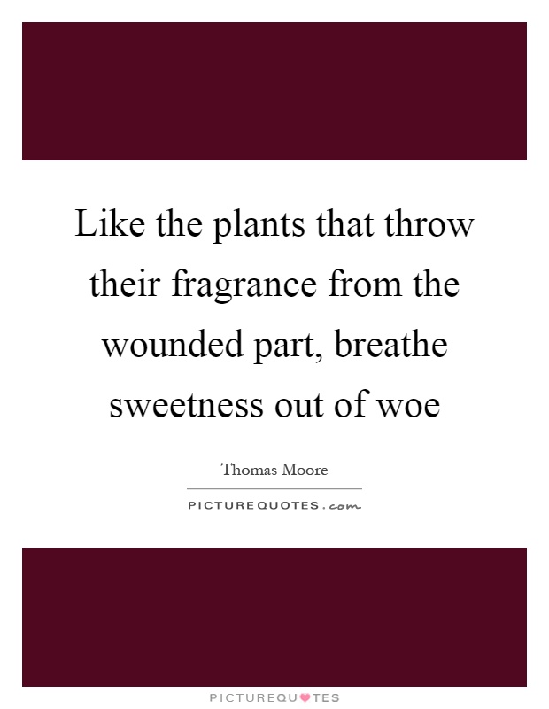 Like the plants that throw their fragrance from the wounded part, breathe sweetness out of woe Picture Quote #1