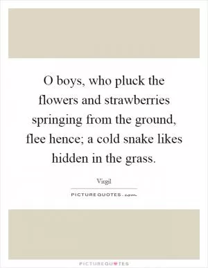 O boys, who pluck the flowers and strawberries springing from the ground, flee hence; a cold snake likes hidden in the grass Picture Quote #1