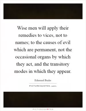 Wise men will apply their remedies to vices, not to names; to the causes of evil which are permanent, not the occasional organs by which they act, and the transitory modes in which they appear Picture Quote #1