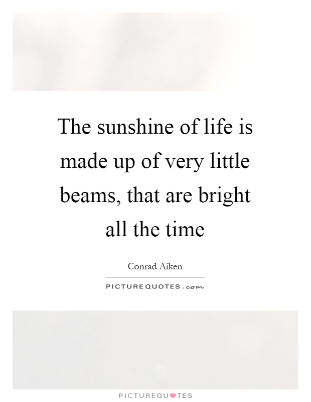 The sunshine of life is made up of very little beams, that are bright all the time Picture Quote #1