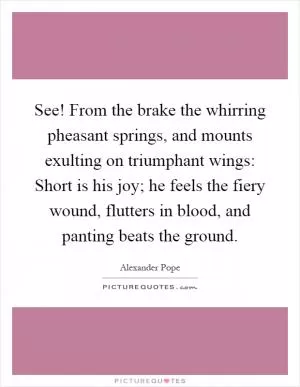 See! From the brake the whirring pheasant springs, and mounts exulting on triumphant wings: Short is his joy; he feels the fiery wound, flutters in blood, and panting beats the ground Picture Quote #1
