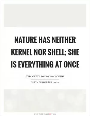 Nature has neither kernel nor shell; she is everything at once Picture Quote #1