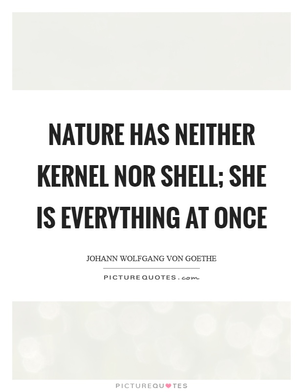 Nature has neither kernel nor shell; she is everything at once Picture Quote #1