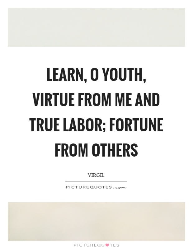 Learn, o youth, virtue from me and true labor; fortune from others Picture Quote #1