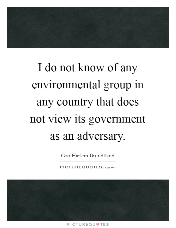 I do not know of any environmental group in any country that does not view its government as an adversary Picture Quote #1