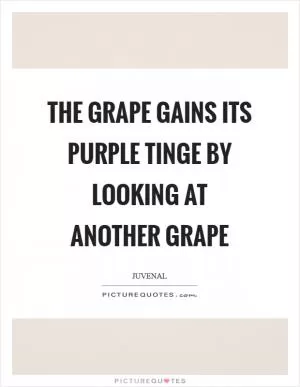 The grape gains its purple tinge by looking at another grape Picture Quote #1